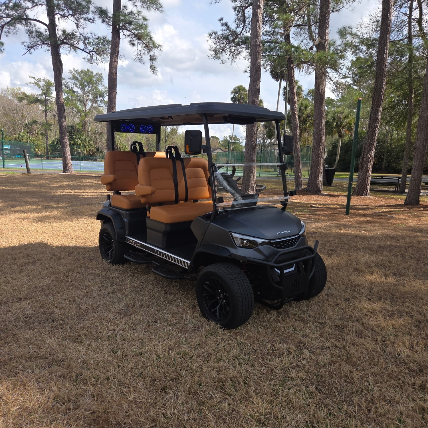 Premium golf cart in a Florida park setting